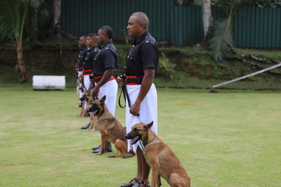 K9 force sales